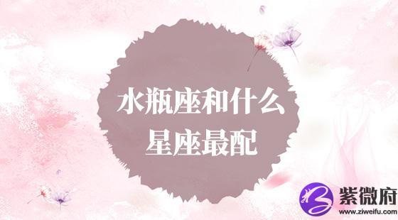 水瓶座和什么星座最配?