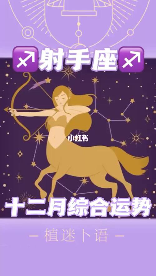 十二星座十二月综合运势 射手座 大众测试