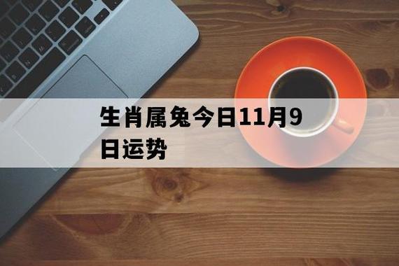 生肖属兔今日11月9日运势