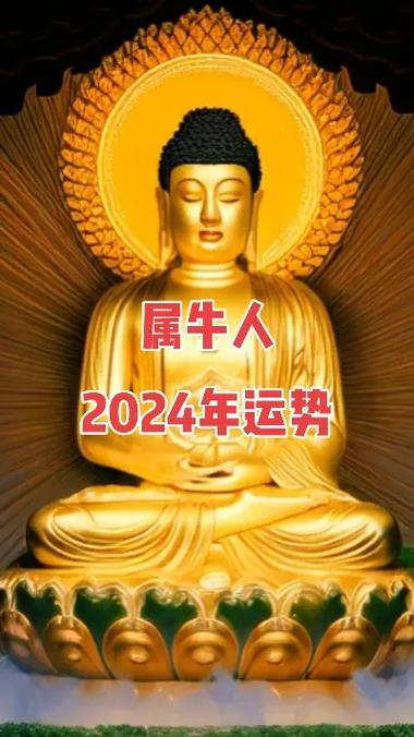 属牛人2024年运势特别好#愿所求皆所愿05 #接福接财接好 - 抖音