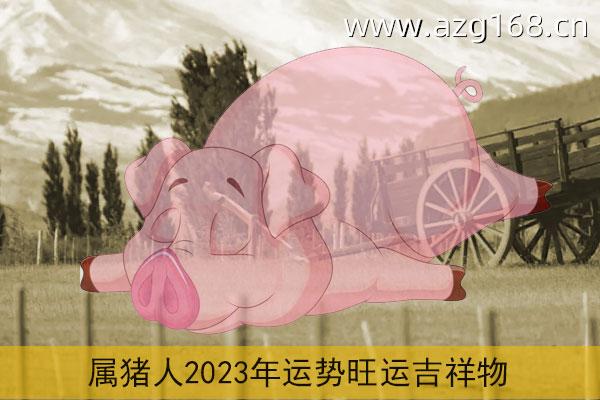 属猪2023年运势及运程详解