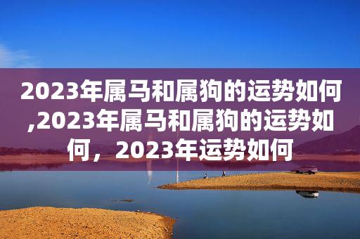 2023年属马和属狗的运势如何,2023年属马和属狗的运势如何,2023年运势