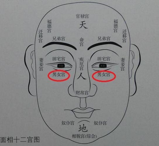 面相泪痣命理详解!