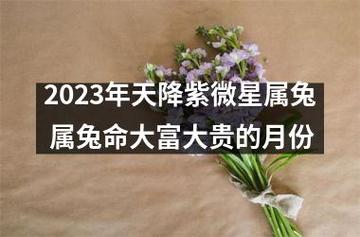 属兔2023年运势及运程_属兔的今年多大_和什么属相配_几月出生命好