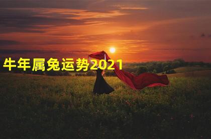 牛年属兔运势2023年运势,属兔在2023年的运程,属兔人未来三年运势