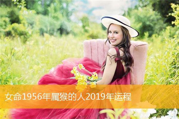 女命1956年属猴的人2023年运程,女命1956年生肖猴2023年运势详解_属猴