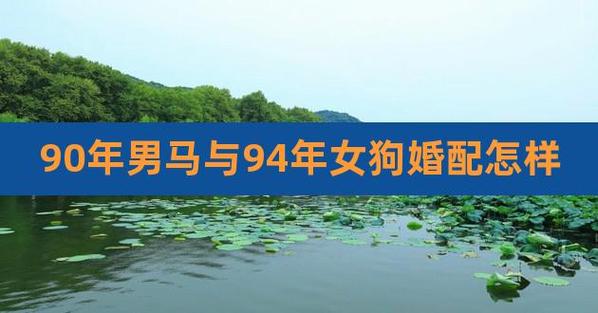 90年男马与94年女狗婚配怎样,属狗和属马千万不能在一起