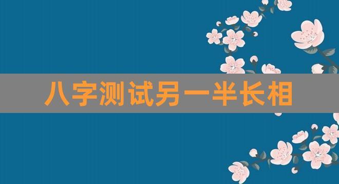 八字测试另一半长相(算命何时遇到另一半)