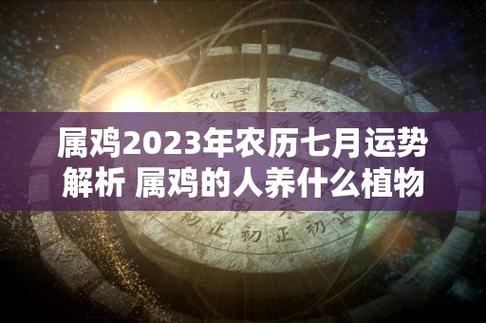 属鸡2023年农历七月运势解析 属鸡的人养什么植物好