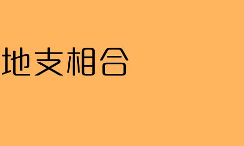 和地支如果天合地合的话,两人很有共同点,对一些事有相同的想法.