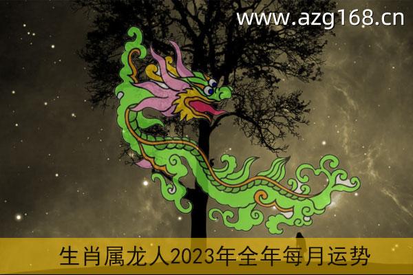 生肖属龙人2023年全年每月运势