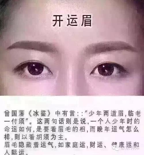 眉毛与运势