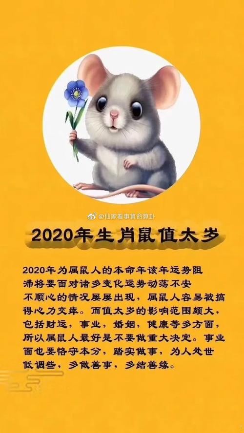 属鼠的2023年感情事业健康运势分析犯太岁本命年怎么样