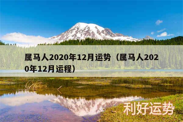 12月属马的运势如何,属马人2023年运势运程