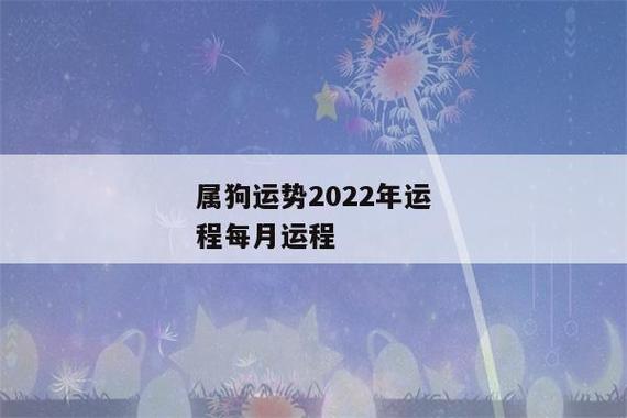 属狗运势2023年运程每月运程(属狗2023年属狗每月运势和运程) - 生肖