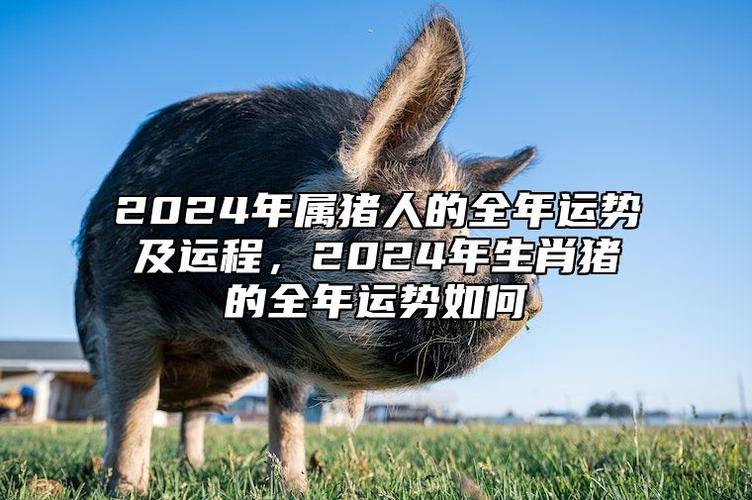 2024年属猪人的全年运势及运程,2024年生肖猪的全年运势如何 2024年猪