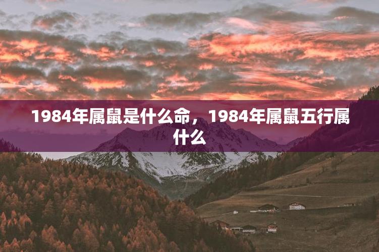 1984年属鼠是什么命,1984年属鼠五行属什么 - 365星座