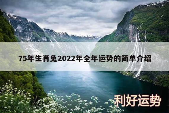 1975年属兔2023年运势1975年属兔人今年运程详解