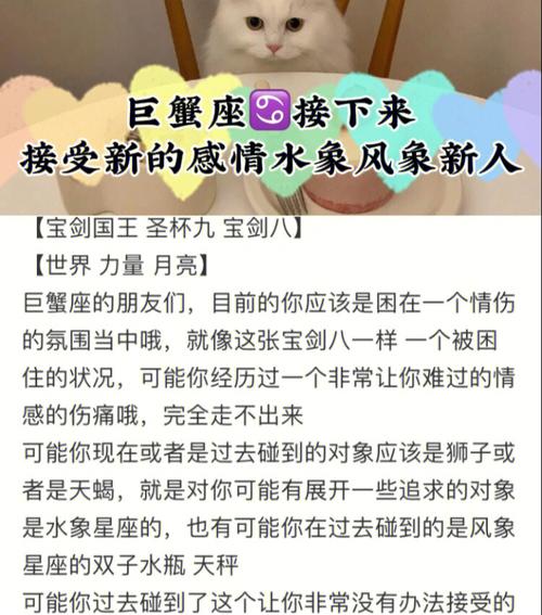 巨蟹座77接受新的感情水象风象星座新人