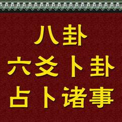 六爻占卜免费,手机在线手动点击得六爻地泽临卦,求子