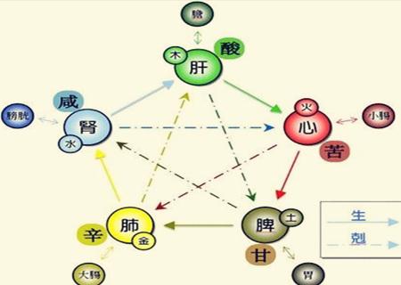 八字算命:八字看疾病健康-风雅颂易学网