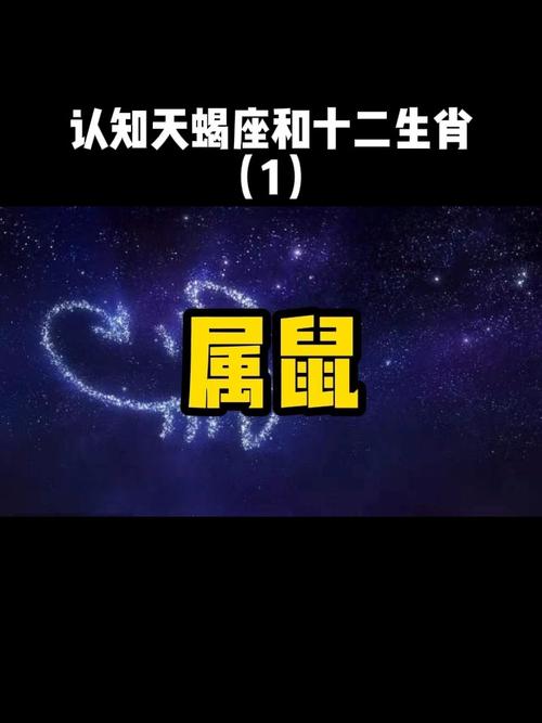 71天蝎座属鼠志向远大的目标派视频版