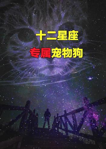 十二星座专属宠物狗