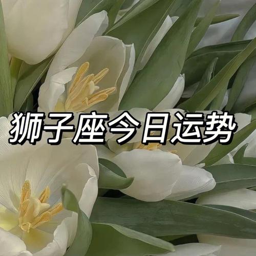 78狮子座今日运势