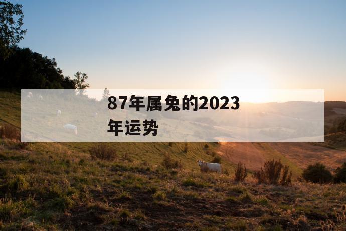 87年属兔的2023年运势 第1张