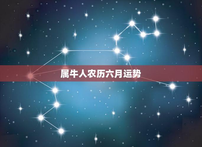 属牛人农历六月运势星座运势属牛六月份