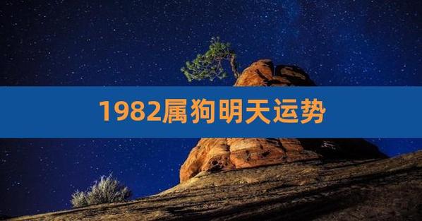 1982属狗明天运势,70年属狗的运程