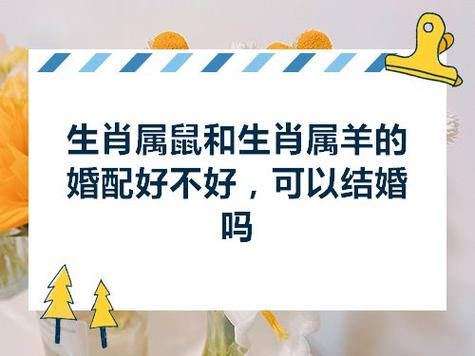 属羊鼠年可以结婚吗_属羊鼠年可以结婚吗_属羊鼠年可以结婚吗