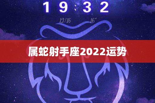 属蛇射手座2023运势