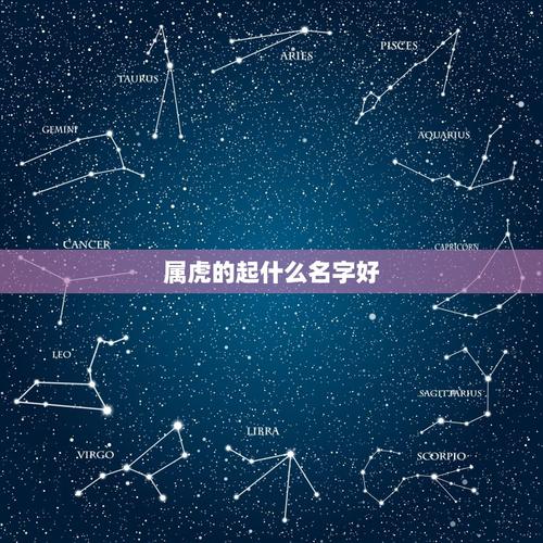 属虎的起什么名字好 属虎的要起什么名字比较好 - 星座文库