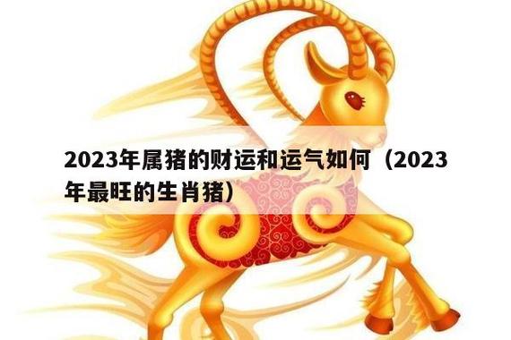 2023年属猪的财运和运气如何(2023年最旺的生肖猪)_生肖百科