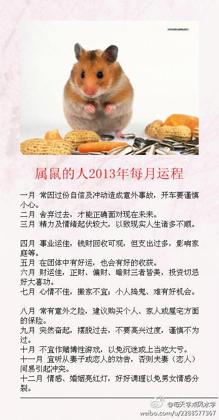 属鼠的人2023年每月运程