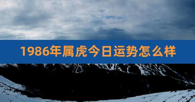 1986年属虎今日运势怎么样,74年属虎人今年运程