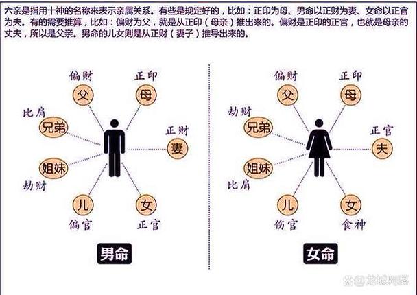 除了六亲,十神还有基本的表象.正官代表官运和事业.