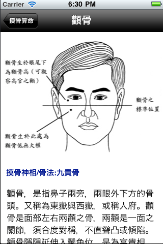 phrenology摸骨算命