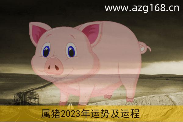 属猪2023年运势及运程详解 2023年属猪人的全年每月运势_祥安阁风水网