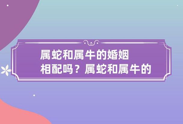 属蛇和属牛的婚姻相配吗男