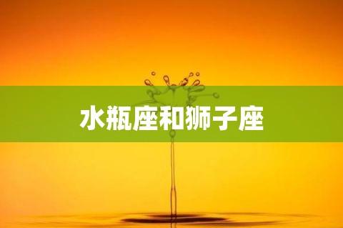 水瓶座和狮子座