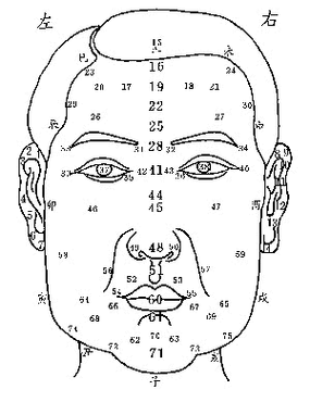 男人面相算命图解