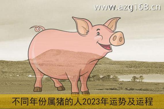 2023年猪年运势及运程 2023年猪年全年运势-卜安居