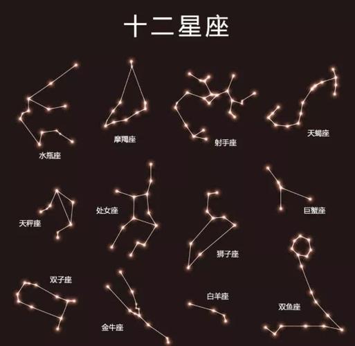 陶白白本周星座运势6.