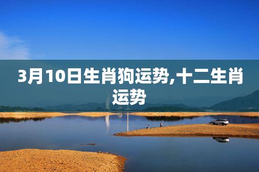 63年属兔2023正月运势,63年属兔人在2023年的命运如何 - 星配网