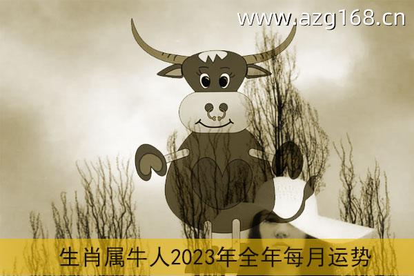 属牛2023年运势及运程详解