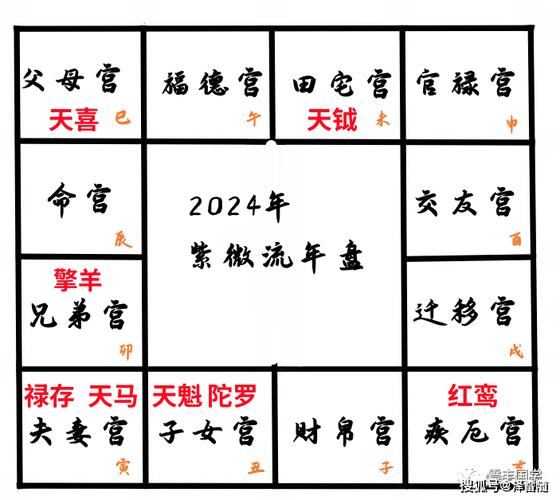 2024年紫微流年盘详解,紫微斗数看2024年运势