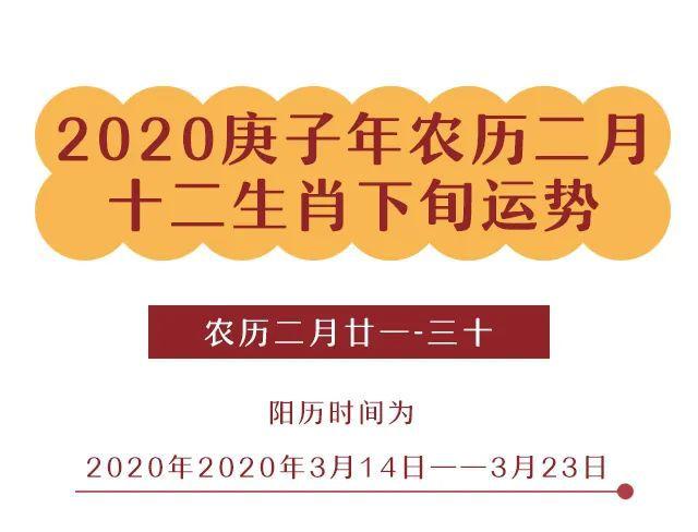 十二生肖314323运势全解析农历2月下旬