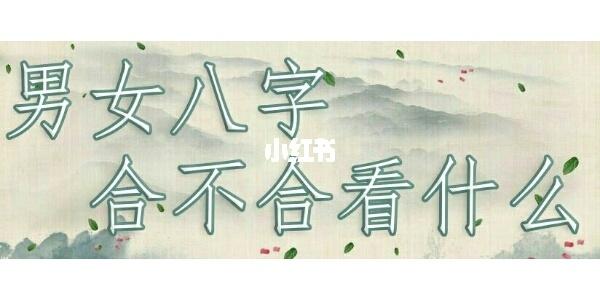 男女866字合不合看什麽